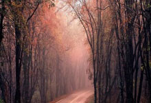 蜂鸟电竞：😎开始发力！浙江打了一波18-6攻击波，领先北京14分.