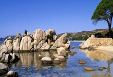 [图]孙颖莎3-0胜阿库拉 获亚洲杯小组赛两连胜.